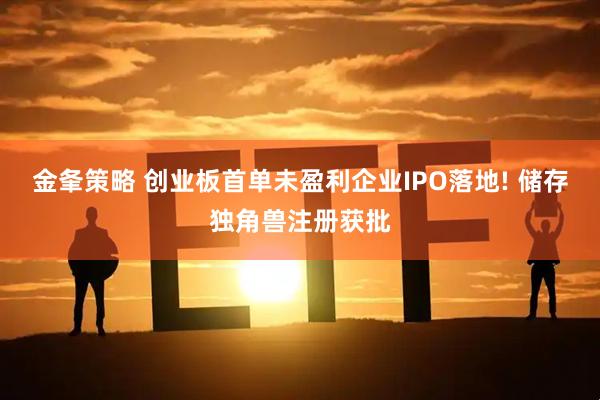 金夆策略 创业板首单未盈利企业IPO落地! 储存独角兽注册获批