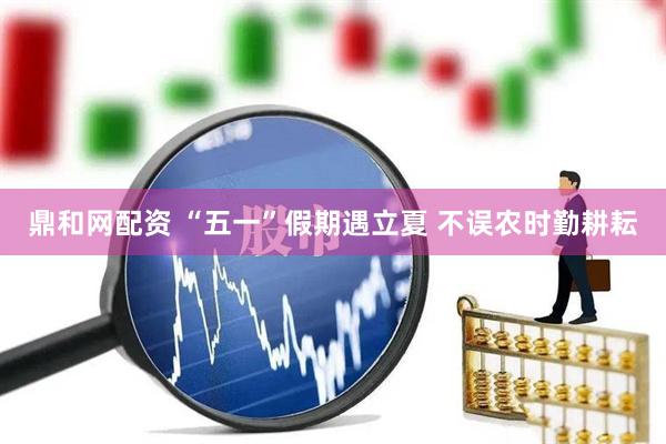 鼎和网配资 “五一”假期遇立夏 不误农时勤耕耘